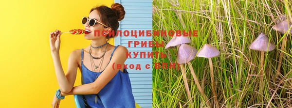 герыч Зеленодольск