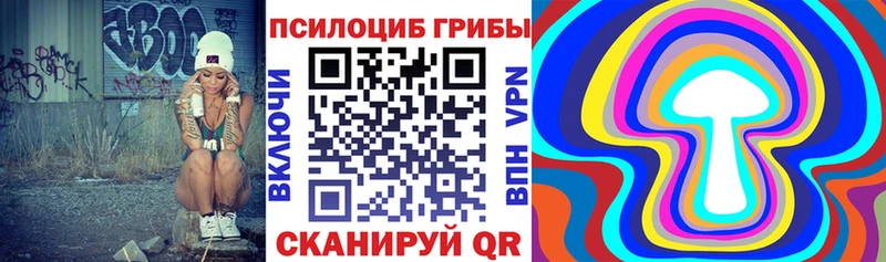 Галлюциногенные грибы Psilocybine cubensis продажа наркотиков Краснозаводск